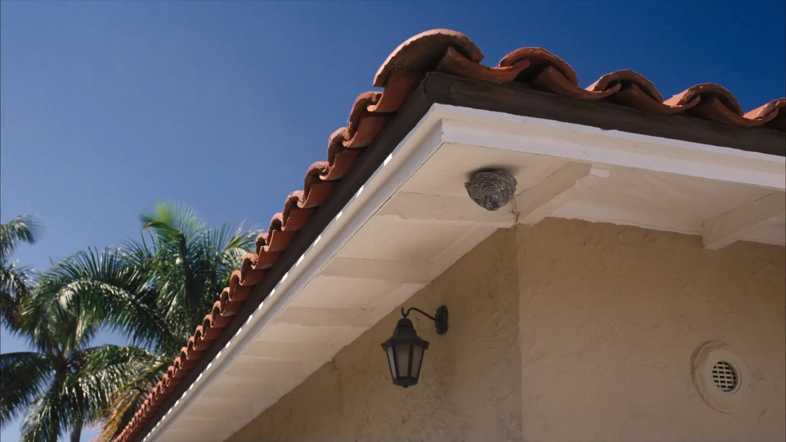 Paper wasp nest under the stucco eave of a Miami-Dade home